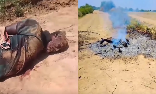 Odayga lagu dilay Dudumaaye.jpg